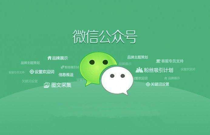 微信公众号 微信公众号