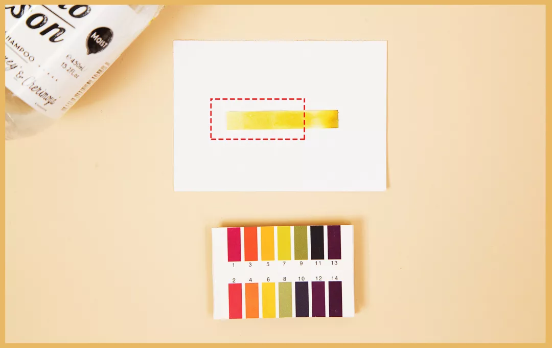 10款性价比超高的洗发水！跟着买绝对不会错