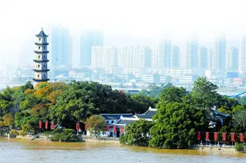 温州模式最早出现在哪个报纸(温州模式的发展方式)