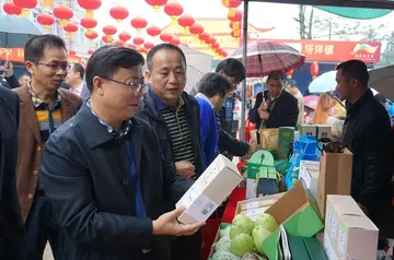 海南琼海将打造电商直播基地