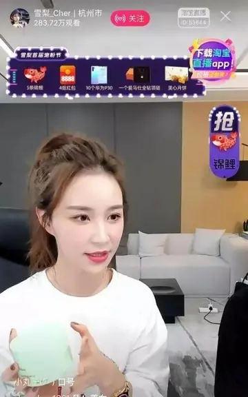 直播带货主播雪梨和林珊珊微博账号被封